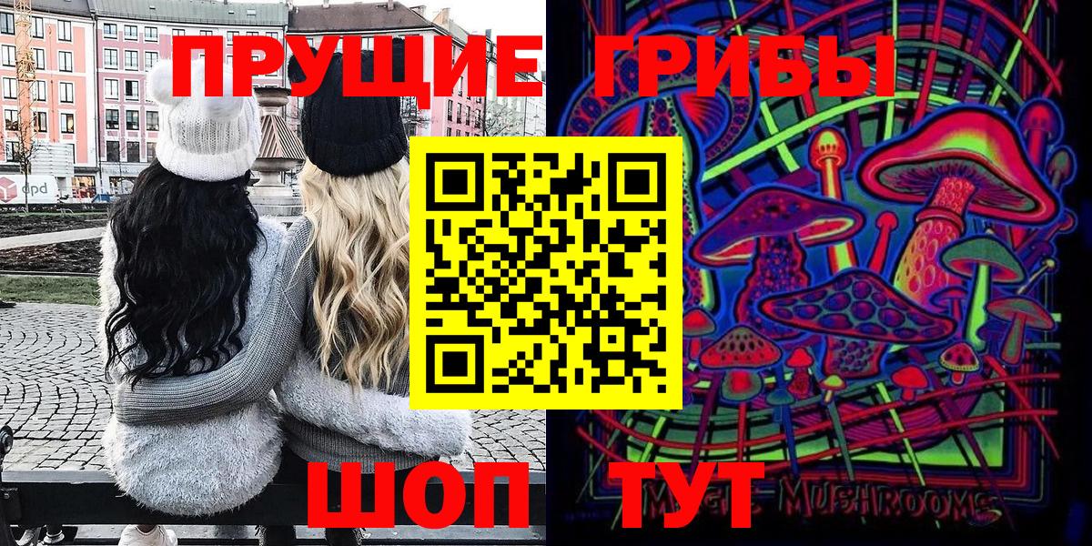 Галлюциногенные грибы Psilocybe Югорск