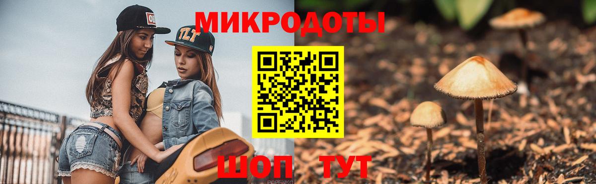 Югорск  Псилоцибиновые грибы мицелий  Псилоцибиновые грибы GOLDEN TEACHER  Вход с VPN 